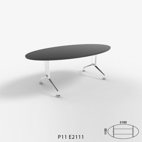 P11 E2111